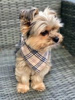 Plaid Bandana | Spring Bandana | Fall Bandana - LOW STOCK