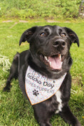 Load image into Gallery viewer, Birthday Bandana | Dog Birthday |  Birthday Dog Bandana | Happy Birthday Bandana | It's My Gotcha Day
