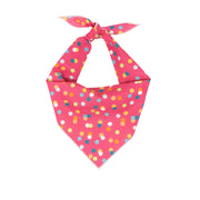 Spring Bandana |  Easter Bandana | Birthday Bandana