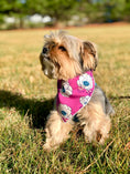 Load image into Gallery viewer, Flower Bandana, Floral Bandana, Spring Bandana, Tie Dog Bandana | Summer Bandana | Anemone
