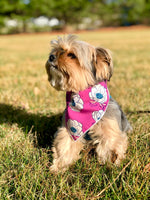 Flower Bandana, Floral Bandana, Spring Bandana, Tie Dog Bandana | Summer Bandana | Anemone