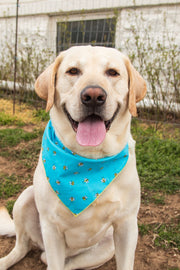 Spring Bandana | Summer Bandana | Bee Bandana
