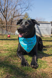 Spring Bandana | Summer Bandana | Bee Bandana