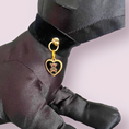 Load image into Gallery viewer, Lux Velvet Bear Dog Necklace

