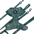 Load image into Gallery viewer, Evergreen Dream Leashes
