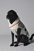 Load image into Gallery viewer, Jackson Dog Sweater
