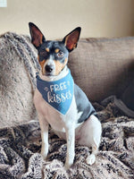 Free Kisses Bandana | Denim Bandana | Dog Bandana | Spring Bandana | Summer Bandana