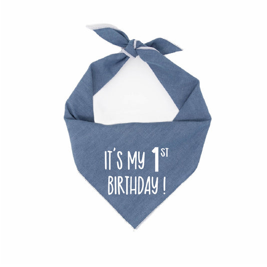 Birthday Bandana | Dog Birthday |  Birthday Dog Bandana | Party Bandana | First Birthday - Southlake Paws