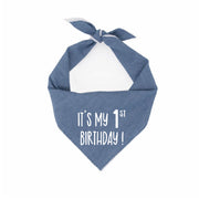 Birthday Bandana | Dog Birthday |  Birthday Dog Bandana | Party Bandana | First Birthday
