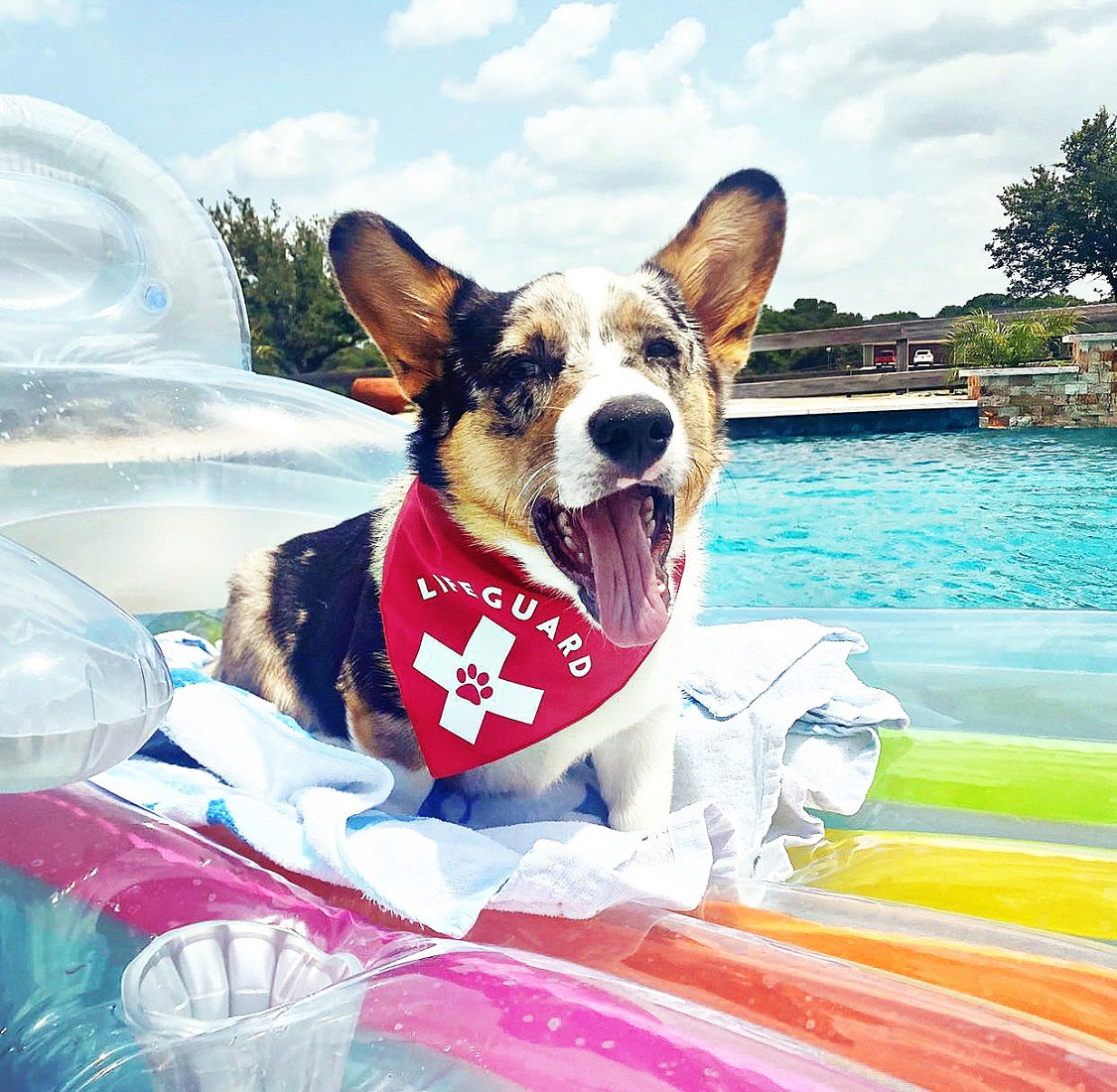Nautical Bandana | Lifeguard Bandana | Summer Bandana | Beach Bandana | Boating Bandana