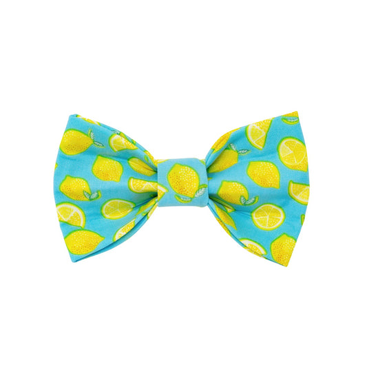 Summer Bow Tie | Lemon | Food Bow Tie - Southlake Paws