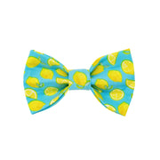 Summer Bow Tie | Lemon | Food Bow Tie