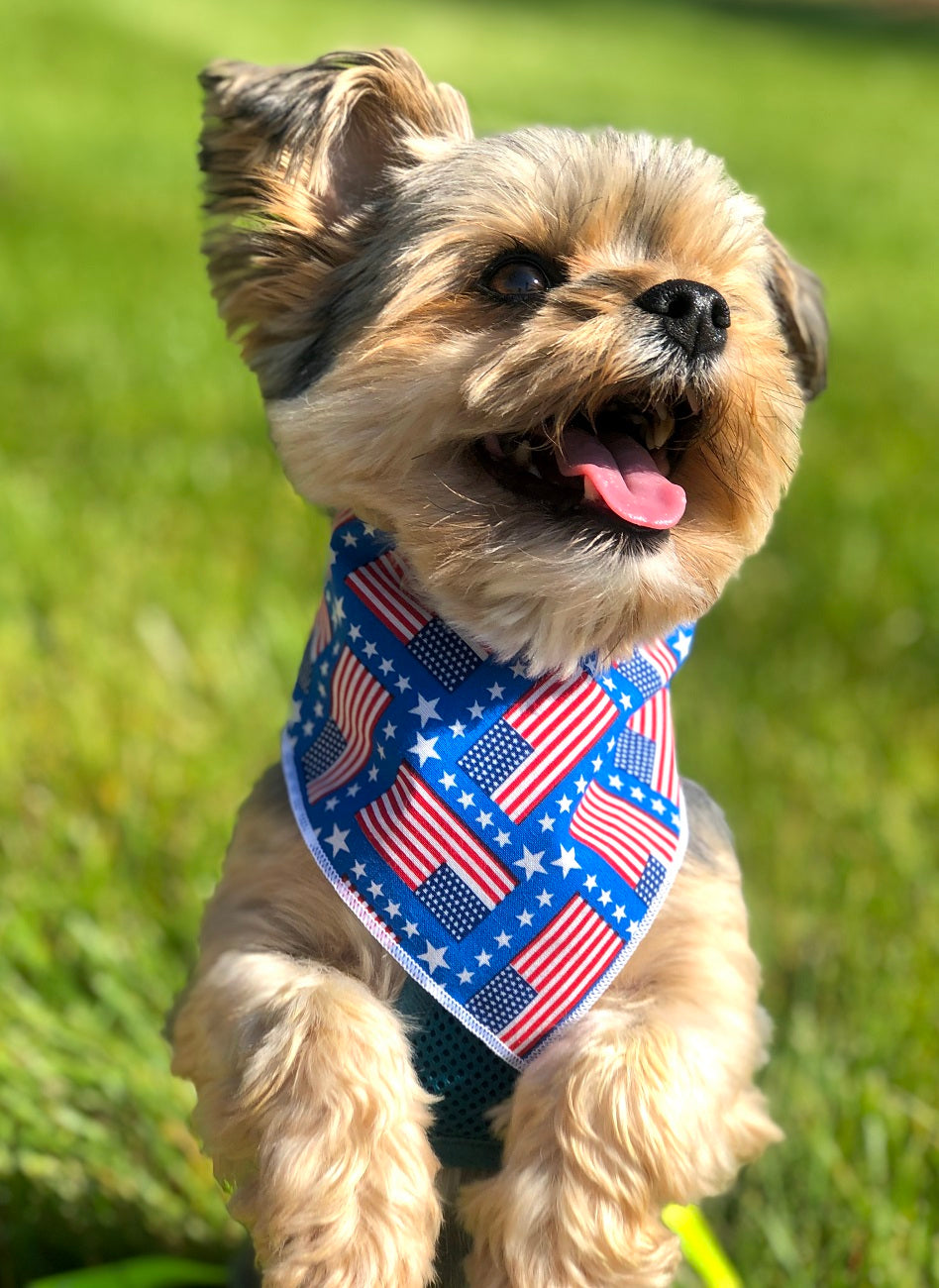 Patriotic | Memorial Day Bandana | USA | American Flag Bandana | Patriotic bandana - Southlake Paws