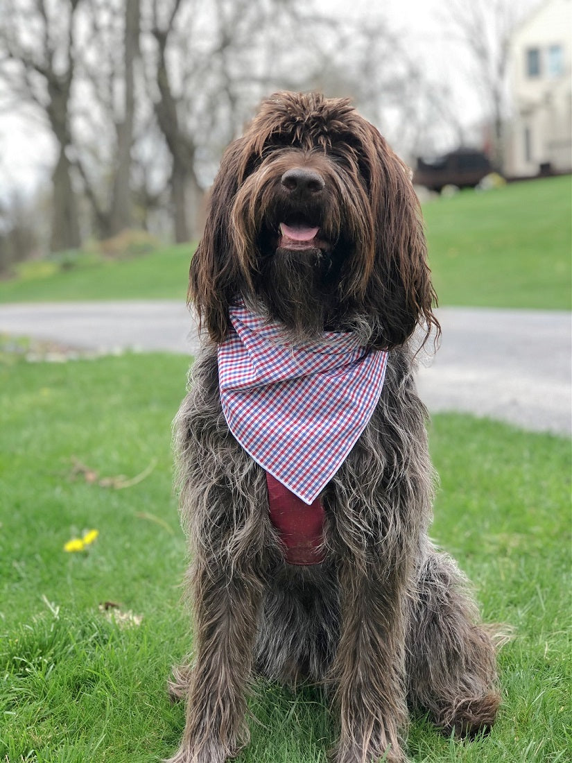 Patriotic | Memorial Day Bandana | USA | American Flag Bandana | Patriotic bandana | 4th of July | Plaid