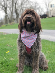 Patriotic | Memorial Day Bandana | USA | American Flag Bandana | Patriotic bandana | 4th of July | Plaid