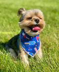Load image into Gallery viewer, Patriotic | Memorial Day Bandana | USA | Patriotic bandana | Popsicles | 4th of July
