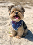 Load image into Gallery viewer, 4th of July | Memorial Day Bandana | USA | American Flag Bandana | Patriotic bandana | Fireworks - Southlake Paws
