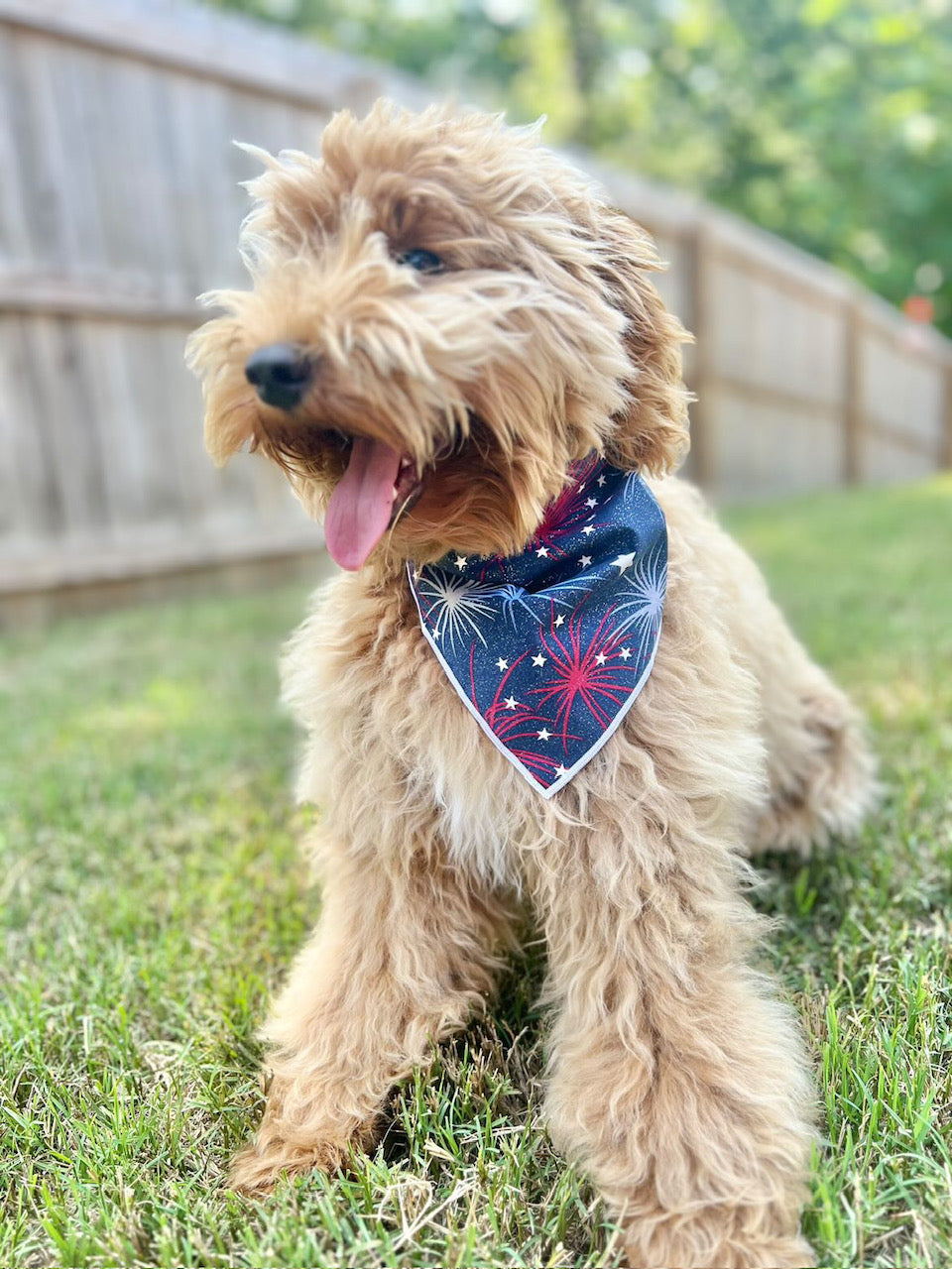 4th of July | Memorial Day Bandana | USA | American Flag Bandana | Patriotic bandana | Fireworks - Southlake Paws