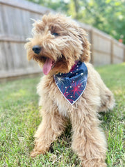 4th of July | Memorial Day Bandana | USA | American Flag Bandana | Patriotic bandana | Fireworks