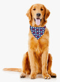 Load image into Gallery viewer, Patriotic | Memorial Day Bandana | USA | Patriotic bandana | Stars | 4th of July
