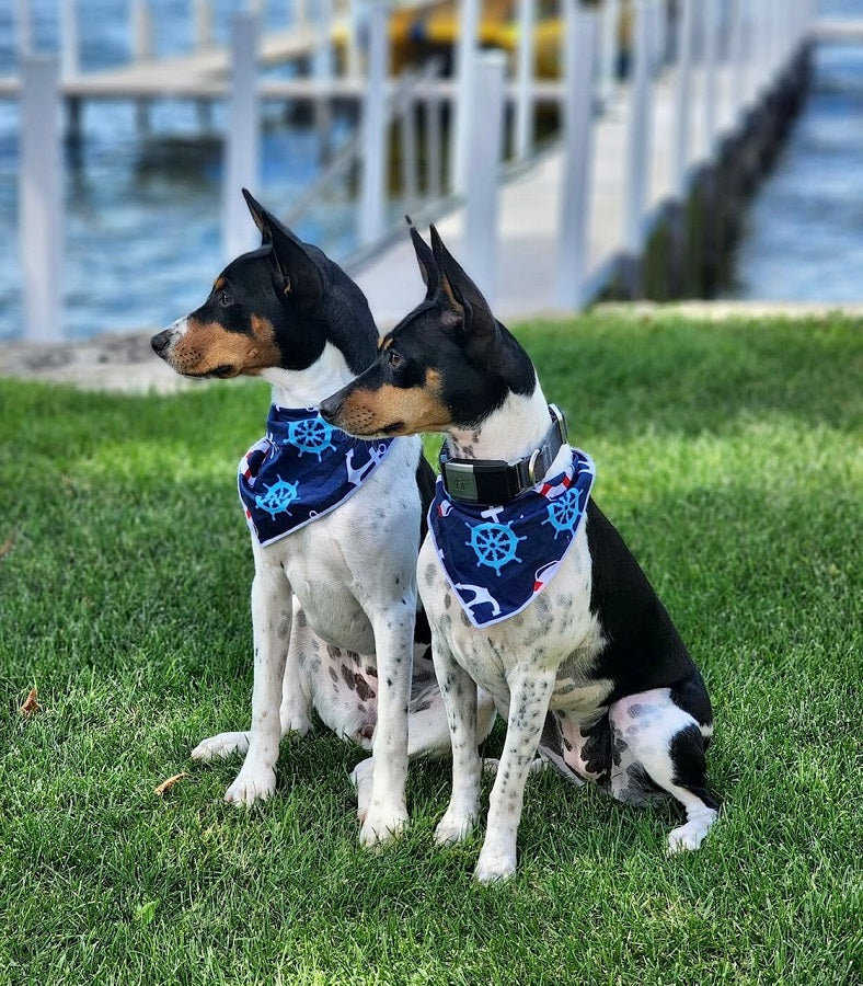 Nautical Bandana |  Summer Bandana | Beach Bandana | Boating Bandana - Southlake Paws