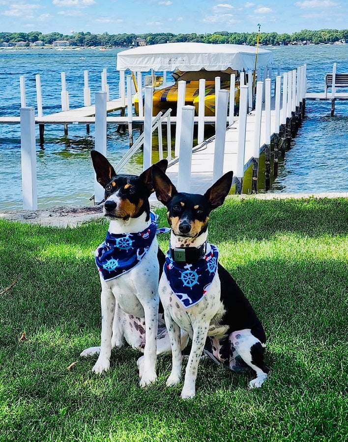 Nautical Bandana |  Summer Bandana | Beach Bandana | Boating Bandana