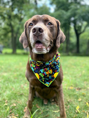 Party Bandana  | Birthday Bandana | Happy Birthday |  Birthday Dog Bandana