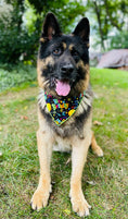 Load image into Gallery viewer, Party Bandana  | Birthday Bandana | Happy Birthday |  Birthday Dog Bandana
