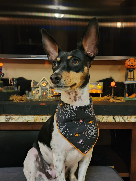 Halloween Bandana | Halloween Dog Bandana | Spiders - Southlake Paws