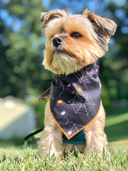 Halloween Bandana | Halloween Dog Bandana | Spiders