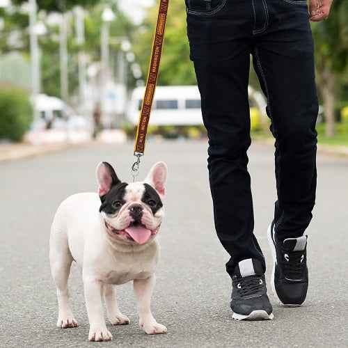Washington Commanders Dog Leash - Official NFL Pet Accessories