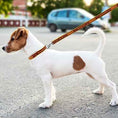 Load image into Gallery viewer, Washington Commanders Dog Leash - Official NFL Pet Accessories
