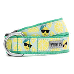 Lemons Collar & Lead Collection