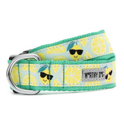 Lemons Collar & Lead Collection