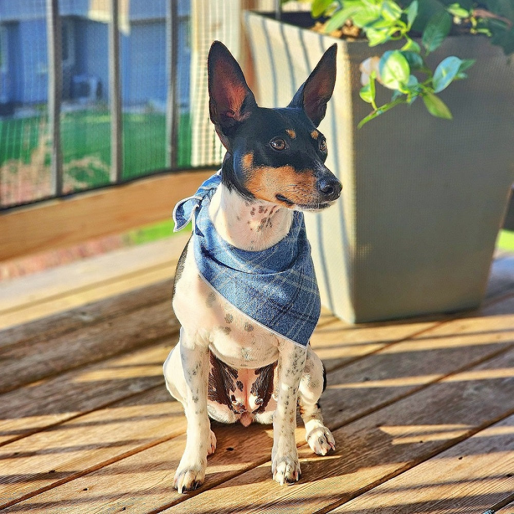 Flannel Dog Bandana, Plaid Bandana, Fall Bandana, High Quality Fabric, Blue