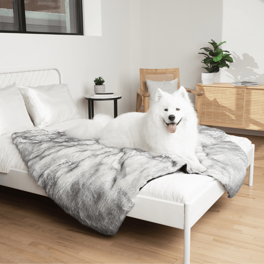 PupProtector™ Luxe Waterproof Faux Fur Blanket - Ultra Plush Arctic Fox - Southlake Paws