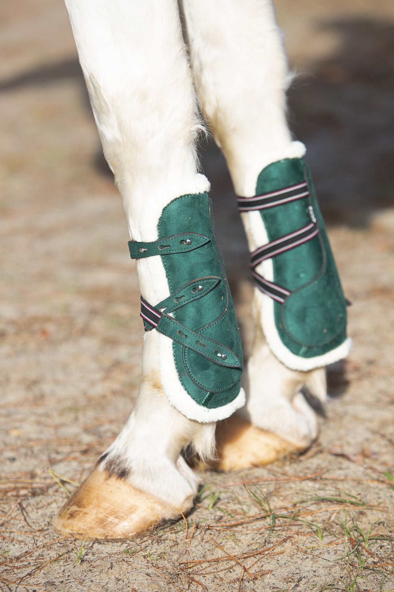 Southlake Paws Pine Grove Open-front Boots in green, featuring adjustable straps, designed for horse leg protection.