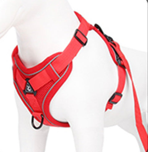 The Ultimate Dachshund Harness 