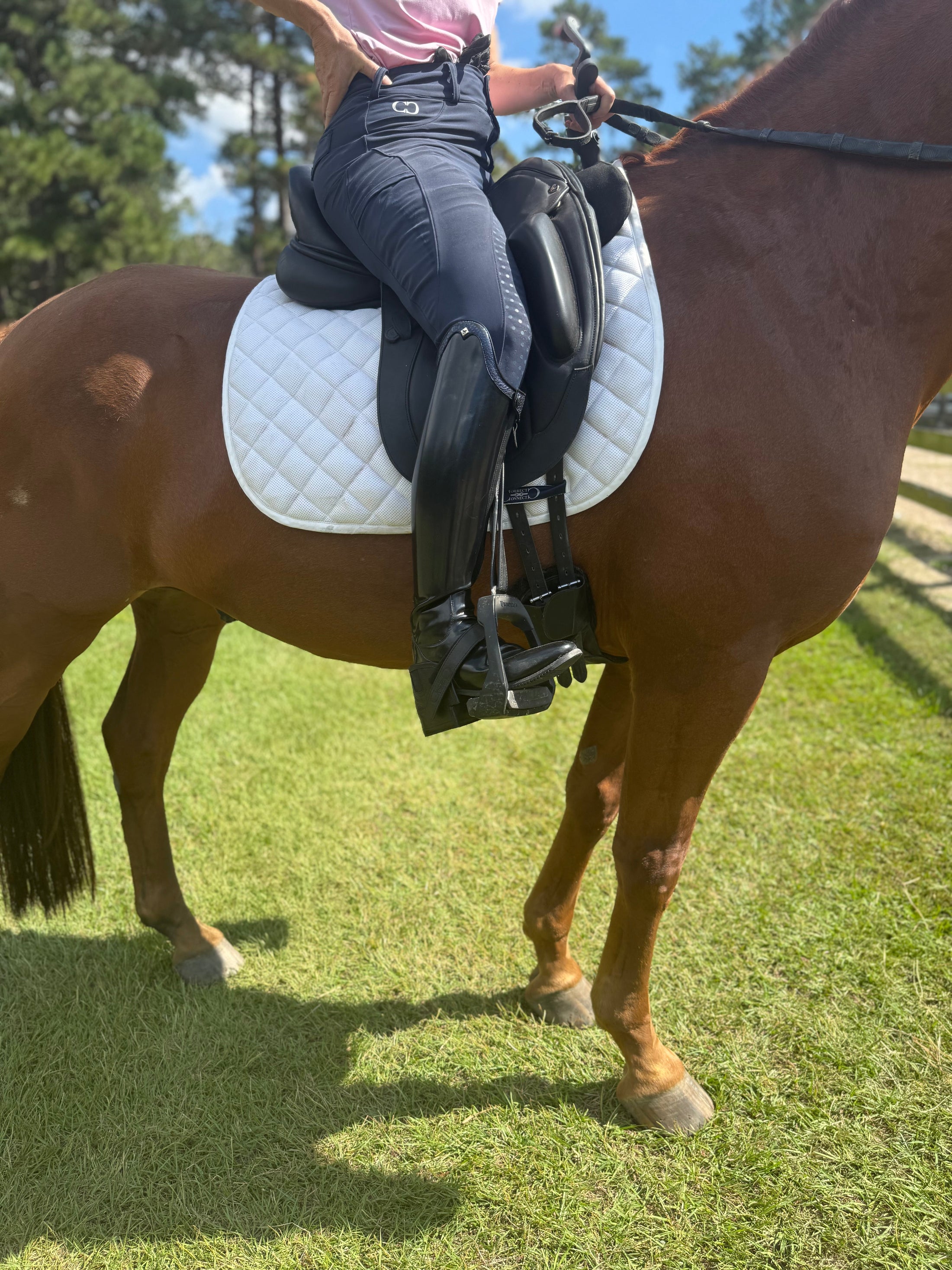 Equisole EXternal-Weighted Training Aid by Southlake Paws, featuring a rider in black riding gear on a brown horse.
