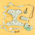 Load image into Gallery viewer, Little Honey Adjustable Harness
