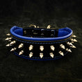 Load image into Gallery viewer, "Frenchie" collar
