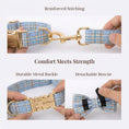 Load image into Gallery viewer, Blue Plaid Set
