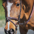 Load image into Gallery viewer, Replacement Noseband of ExionPro Fully Padded Snaffle Bridle with U Shaped Detachable Flash
