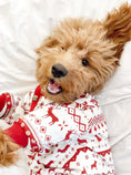 Load image into Gallery viewer, Festive Fam Holiday Pajama - Southlake Paws
