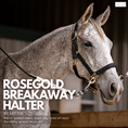 Load image into Gallery viewer, Lettia Rosegold Padded Leather Breakaway Halter - image 3
