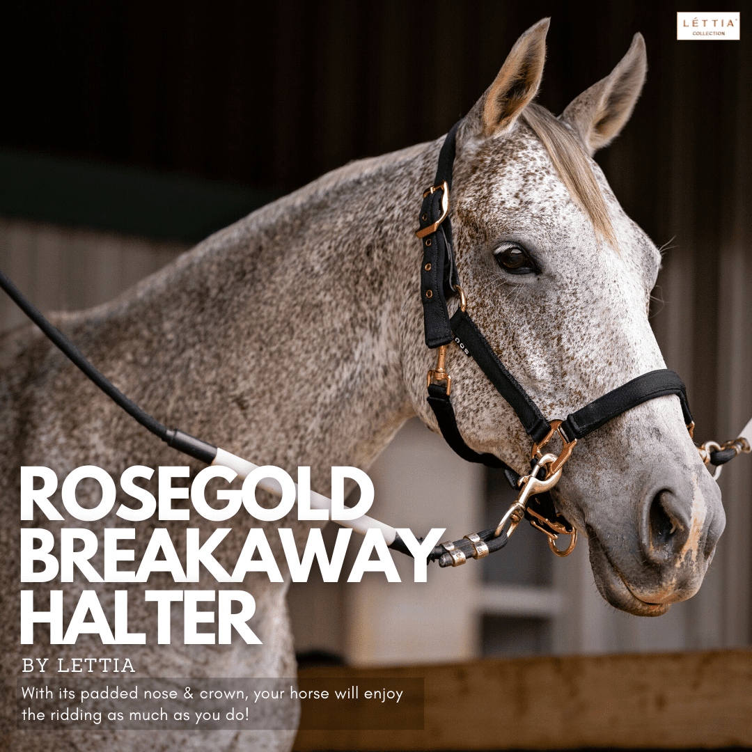 Lettia Rosegold Padded Leather Breakaway Halter - image 3