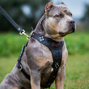 'Batman'' Dogs and pets harness Medium Size