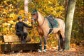 Load image into Gallery viewer, Pine Grove Brushing Boots
