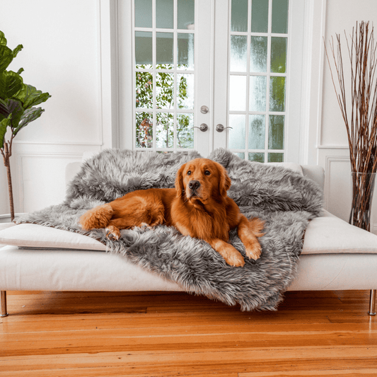 PupProtector™ Waterproof Throw Blanket - Charcoal Grey - Southlake Paws
