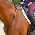 Load image into Gallery viewer, Southlake Paws 3-Point Breastplate with Double Neck Strap, securely fitted on a horse, showcasing its leather design and func
